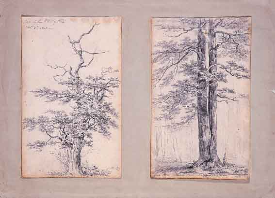 A PAIR OF STUDIES OF TREES, PHOENIX PARK, DUBLIN by Henry Brocas sold for 660 at Whyte's Auctions