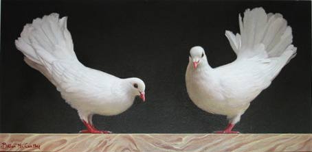 FANTAIL PIGEONS by Brian McCarthy sold for 2,800 at Whyte's Auctions