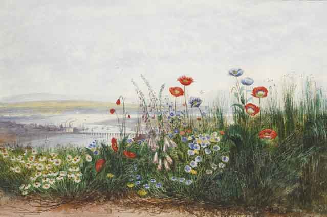 POPPIES, OX-EYE DAISIES, DANDELIONS AND FOXGLOVES AT THE EDGE OF A FIELD, WITH A VIEW OF LONDONDERRY by Andrew Nicholl sold for 17,000 at Whyte's Auctions