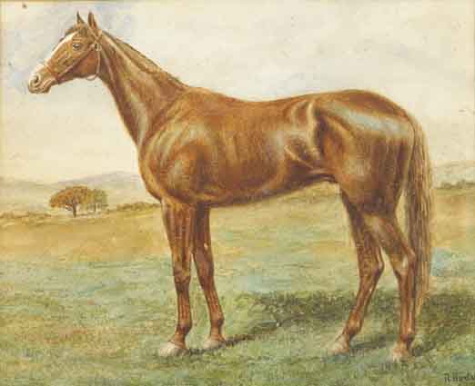 ORBY - WINNER OF ENGLISH AND IRISH DERBIES by R. Barclay sold for 750 at Whyte's Auctions