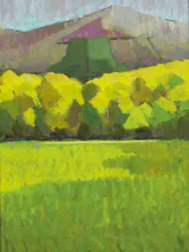 MEADOW (COUNTY WICKLOW) by Robert Lynn sold for 1,400 at Whyte's Auctions