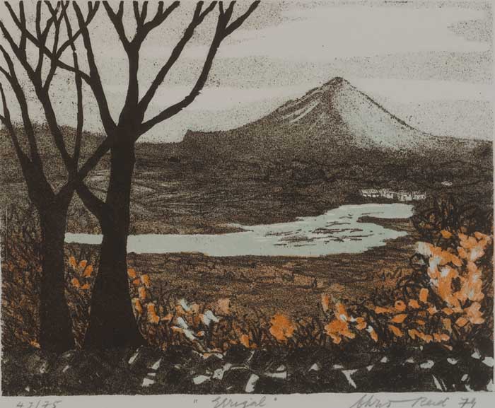 ERRIGAL by Chris Reid sold for 120 at Whyte's Auctions