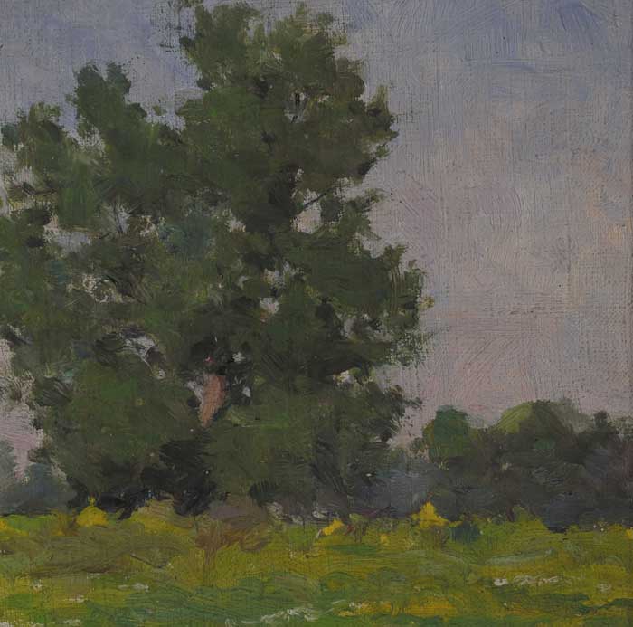 TREE STUDY, SUMMERTIME by Michael Healy sold for 550 at Whyte's Auctions