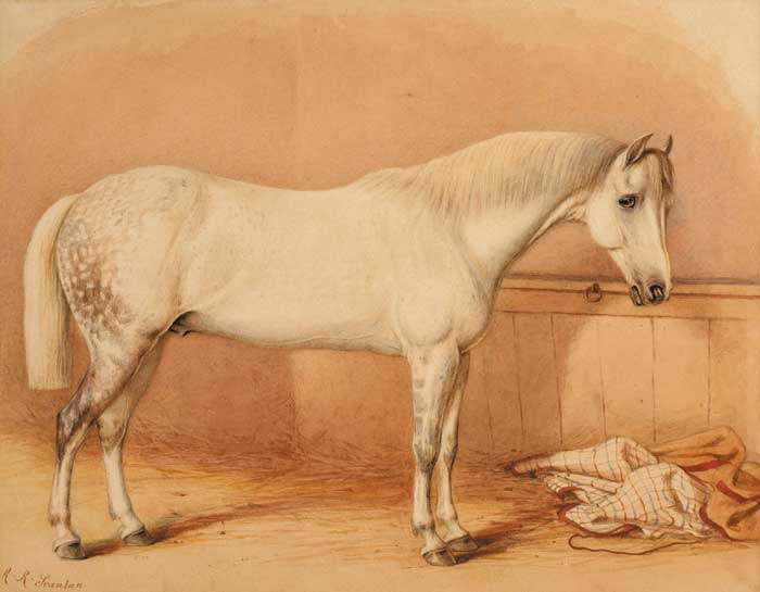 A DAPPLED GREY HUNTER IN A STABLE by Robert Richard Scanlan sold for 1,100 at Whyte's Auctions