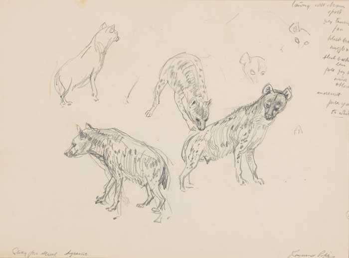STUDY FOR MURAL - HYENAS by Raymond Piper sold for 375 at Whyte's Auctions