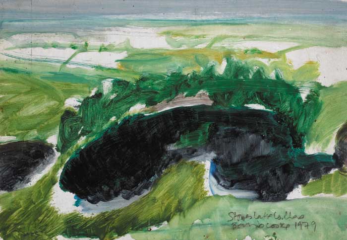 STONES LAKE, COUNTY CLARE, 1979 by Barrie Cooke sold for 4,200 at Whyte's Auctions