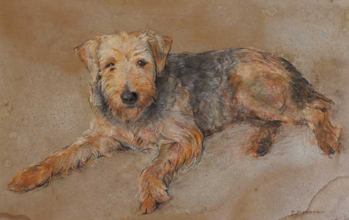 AIREDALE TERRIER by Phoebe Donovan sold for 500 at Whyte's Auctions