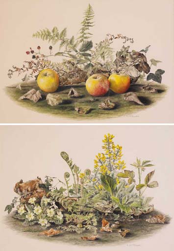 PRIMROSES AND FERNS and APPLES AND BRAMBLE (A PAIR) by Elizabeth McEwan sold for 2,000 at Whyte's Auctions