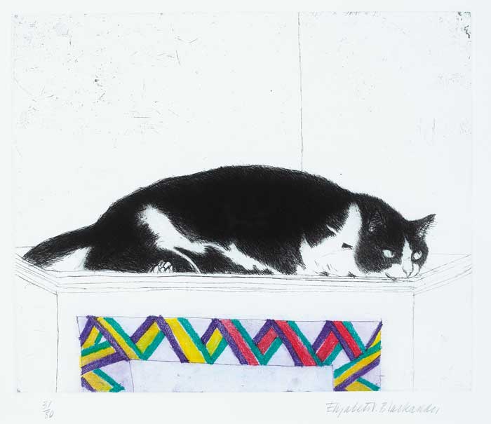 FRED ON TOP OF CUPBOARD, FROM CAT'S PORTFOLIO by Dame Elizabeth Blackadder sold for 1,000 at Whyte's Auctions