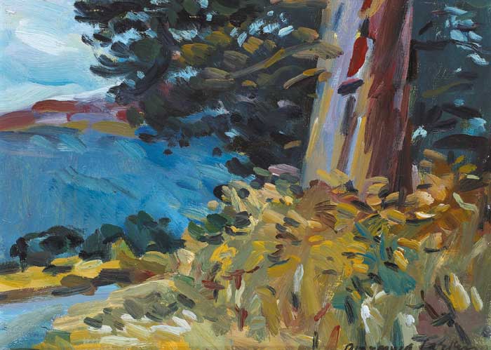 VIEW OF BAY WITH TREES IN FOREGROUND by Diarmuid Larkin sold for 160 at Whyte's Auctions