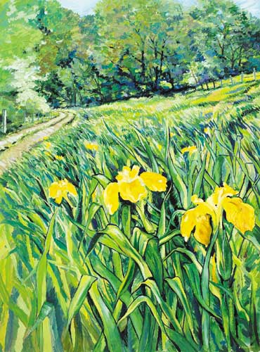 IRISES, 2007 by Liam O Broin sold for 1,000 at Whyte's Auctions
