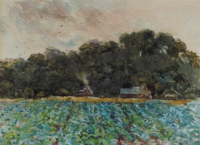 THE CABBAGE FIELD, 1922 by John A. Lewis sold for 80 at Whyte's Auctions