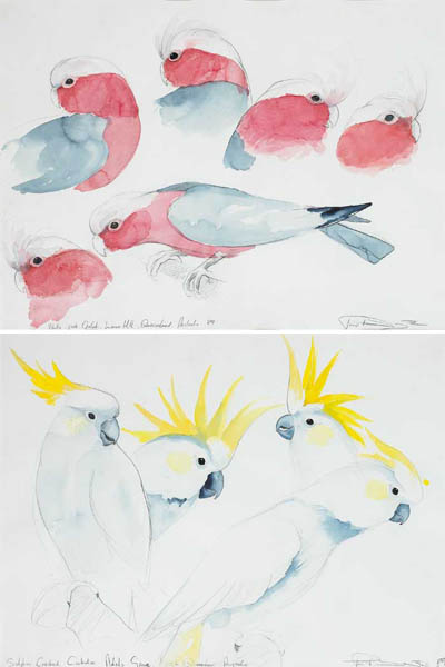 WALLY-PINK GALAH, LAWN HILL, QUEENSLAND, AUSTRALIA, 1989 and SULPHUR CRESTED COCKATOO, ADEL'S GROVE by Philip Blythe sold for 250 at Whyte's Auctions