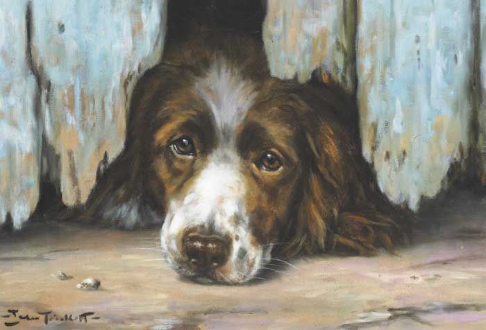 UNDERDOG by John Trickett sold for 3,000 at Whyte's Auctions