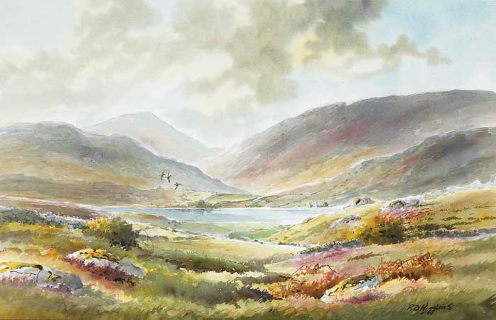 CONNEMARA by Robert Bertie Higgins sold for 200 at Whyte's Auctions