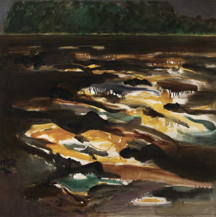 DARK LAKE SURFACE, 1980 by Barrie Cooke sold for 5,600 at Whyte's Auctions