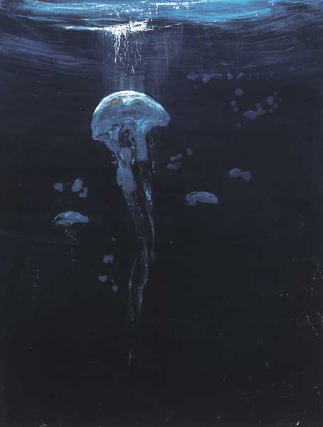 JELLYFISH by Jennifer Kingston sold for 400 at Whyte's Auctions
