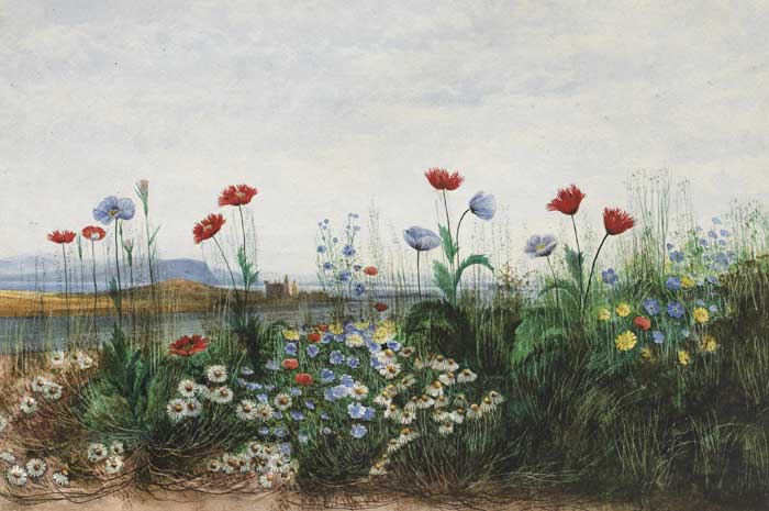 WILD FLOWERS WITH VIEW OF DOE CASTLE BEYOND by Andrew Nicholl sold for 6,000 at Whyte's Auctions