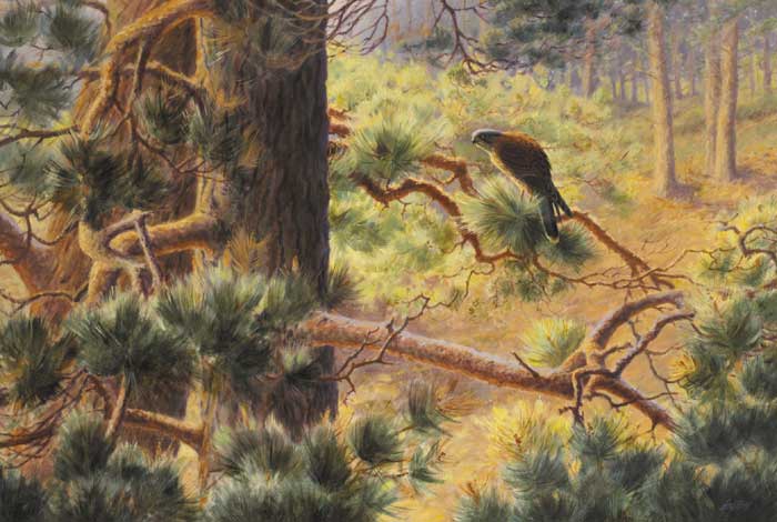 WARY WINDHOVER, 1990 by Roy Gaston sold for 1,700 at Whyte's Auctions