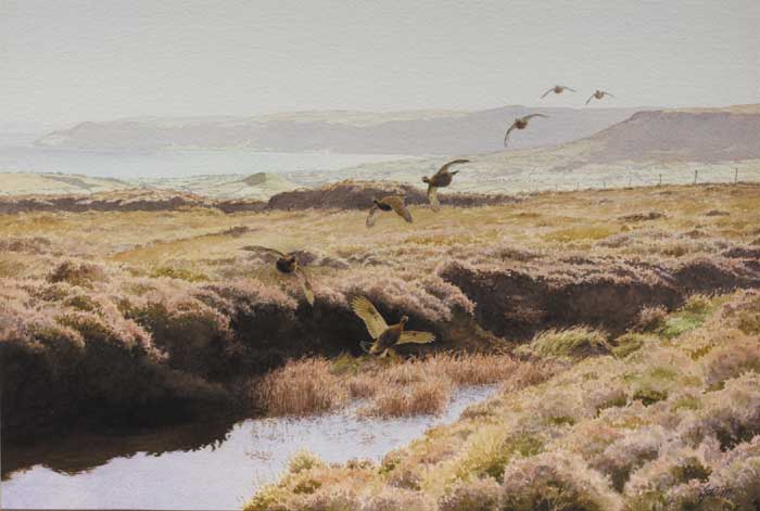 THE GROUSE ON GRUIG by Roy Gaston sold for 2,200 at Whyte's Auctions