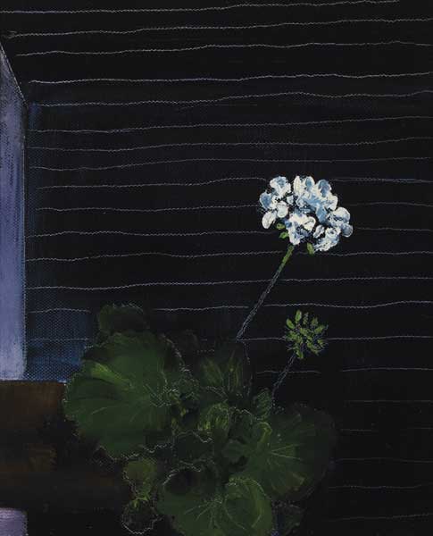 PELARGONIUMS by Jennifer Kingston sold for 200 at Whyte's Auctions