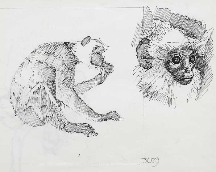 MONKEY (STUDY FOR CEILING OF GRAND OPERA HOUSE), 1979 by Cherith McKinstry sold for 100 at Whyte's Auctions