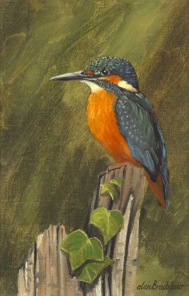 KINGFISHER by Alan Bradshaw sold for 200 at Whyte's Auctions