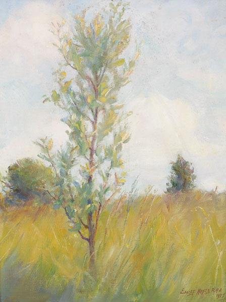 YOUNG TREE, 1977 by Ernest Columba Hayes sold for 800 at Whyte's Auctions