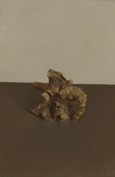 CHANTERELLE MUSHROOM, 2003 by Comhghall Casey sold for 800 at Whyte's Auctions