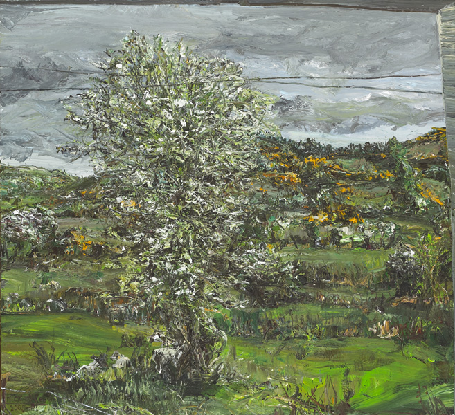 WHITETHORN FIELD WITH SHEEP, 2000 by Nick Miller sold for 2,800 at Whyte's Auctions