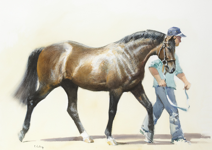 STALLION PARADE by Peter Curling (b.1955) at Whyte's Auctions