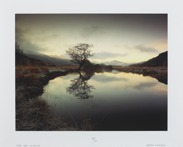 TREE LAKE, COUNTY KERRY by Eoghan Kavanagh sold for 110 at Whyte's Auctions