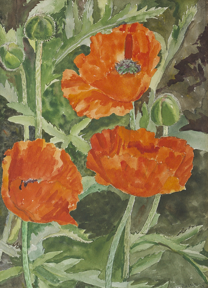 POPPIES, 1938 by Moyra Barry sold for 290 at Whyte's Auctions