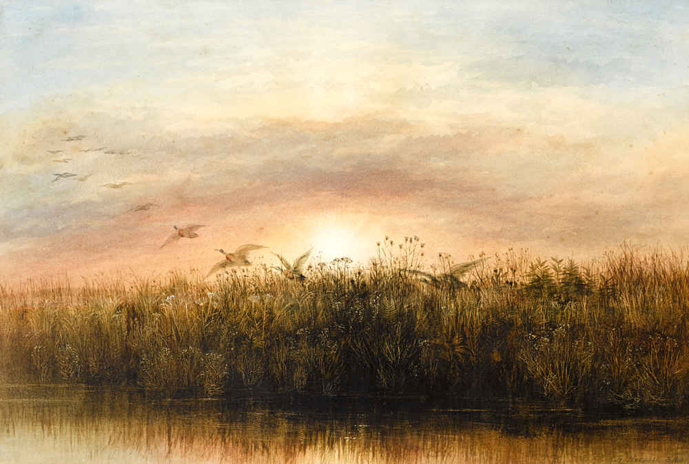 WILD DUCK AT SUNRISE by Andrew Nicholl sold for 2,600 at Whyte's Auctions