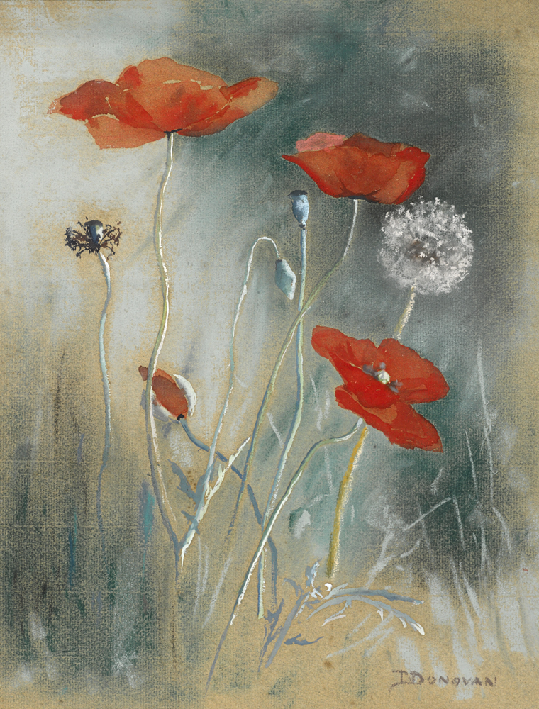 POPPIES by Phoebe Donovan sold for 200 at Whyte's Auctions