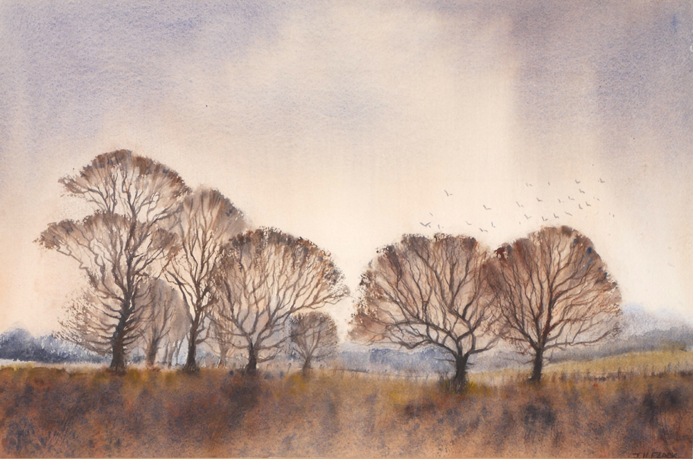 OAK TREES ON TILLED LAND, 1984 by James Hall Flack sold for 320 at Whyte's Auctions