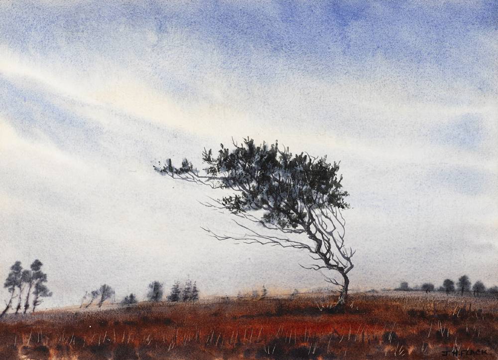 STUNTED PINE TREE ON THE BOG, 1988 by James Hall Flack (b.1941) at Whyte's Auctions