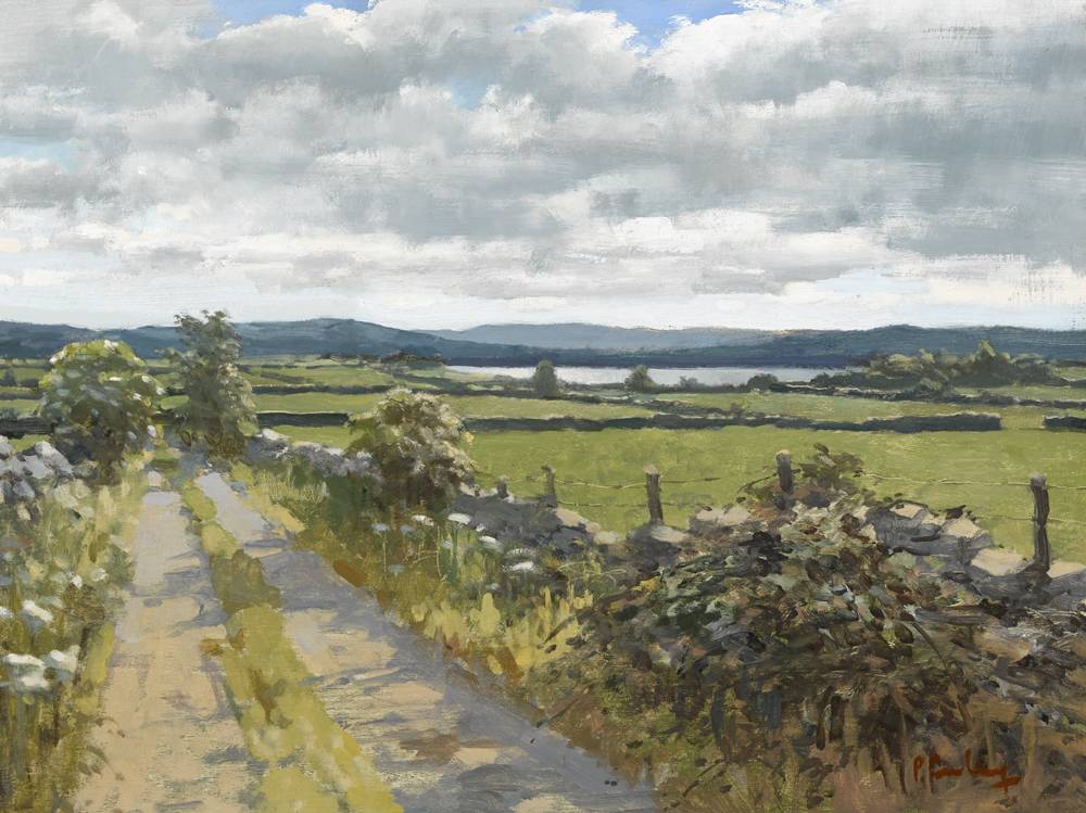 SUMMER, HEADFORD, COUNTY GALWAY by Peter Curling sold for 5,600 at Whyte's Auctions