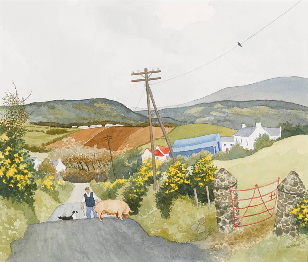 PIG ON TORR HEAD ROAD, 1998 by James MacIntyre sold for 750 at Whyte's Auctions