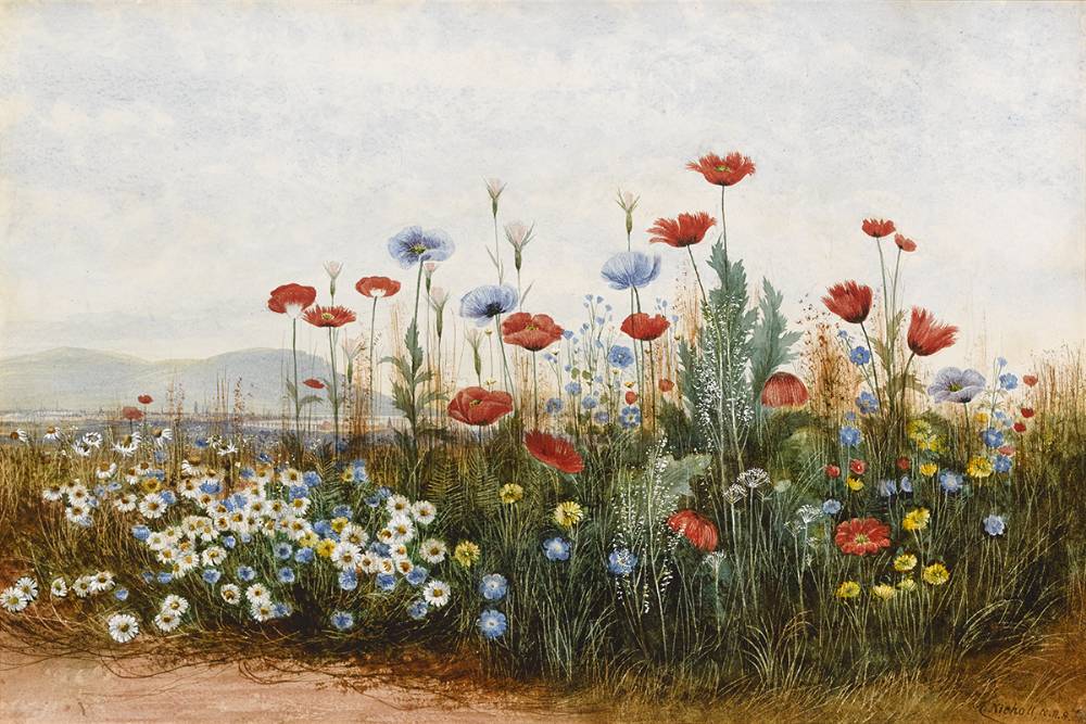 BANK OF WILD FLOWERS, POPPIES AND DAISIES by Andrew Nicholl sold for 6,200 at Whyte's Auctions