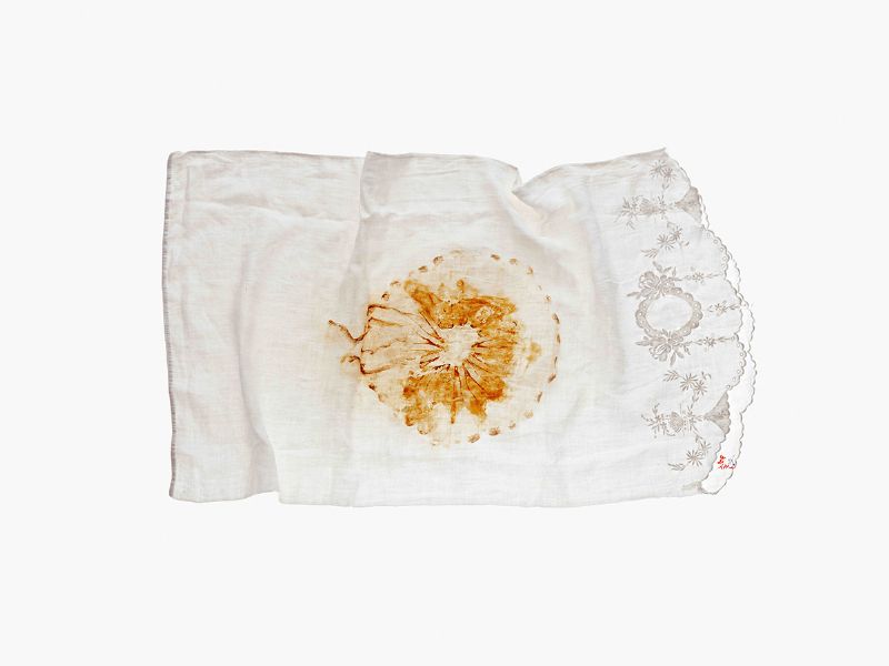 JELLYFISH PILLOWCASE 2, 2004 by Dorothy Cross sold for 3,200 at Whyte's Auctions