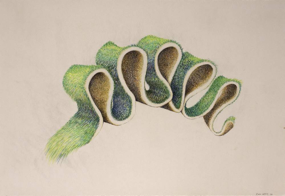 GRASS DRAWING (FIVE PEAKS), 2004 by Cindi Harper sold for 380 at Whyte's Auctions