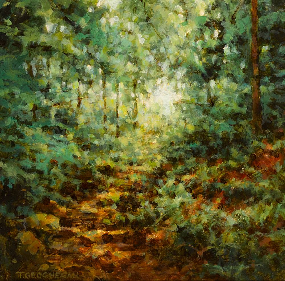 DRY BED, WOODLAND, 1996 by Trevor Geoghegan sold for 800 at Whyte's Auctions