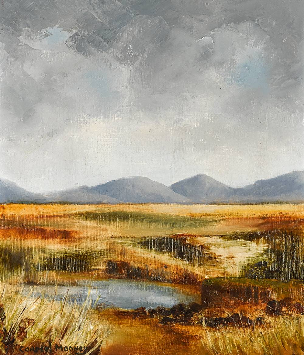 BOG LAKE, WEST OF IRELAND by Carmel Mooney sold for 260 at Whyte's Auctions
