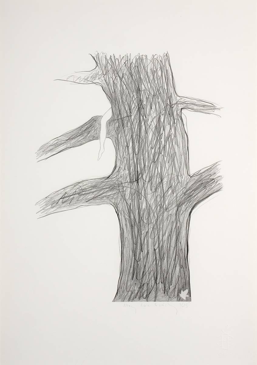 GRACE IN A TREE by Mary Rose Binchy sold for 80 at Whyte's Auctions
