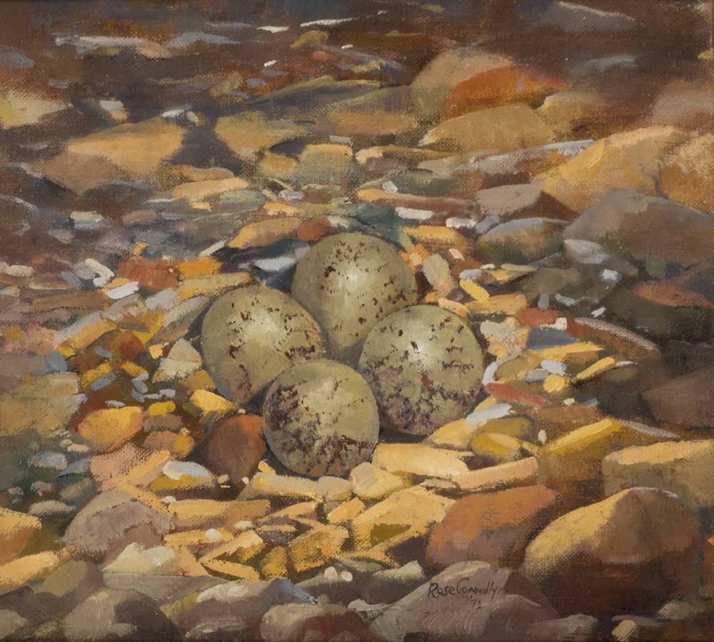 RINGED PLOVER'S EGGS, 1992 by Rose Connolly sold for 190 at Whyte's Auctions