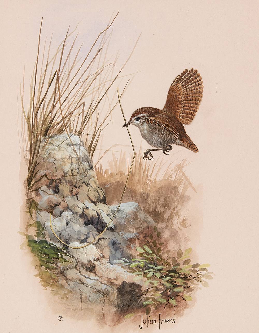 BIRD STUDY by Julian Friers sold for 600 at Whyte's Auctions