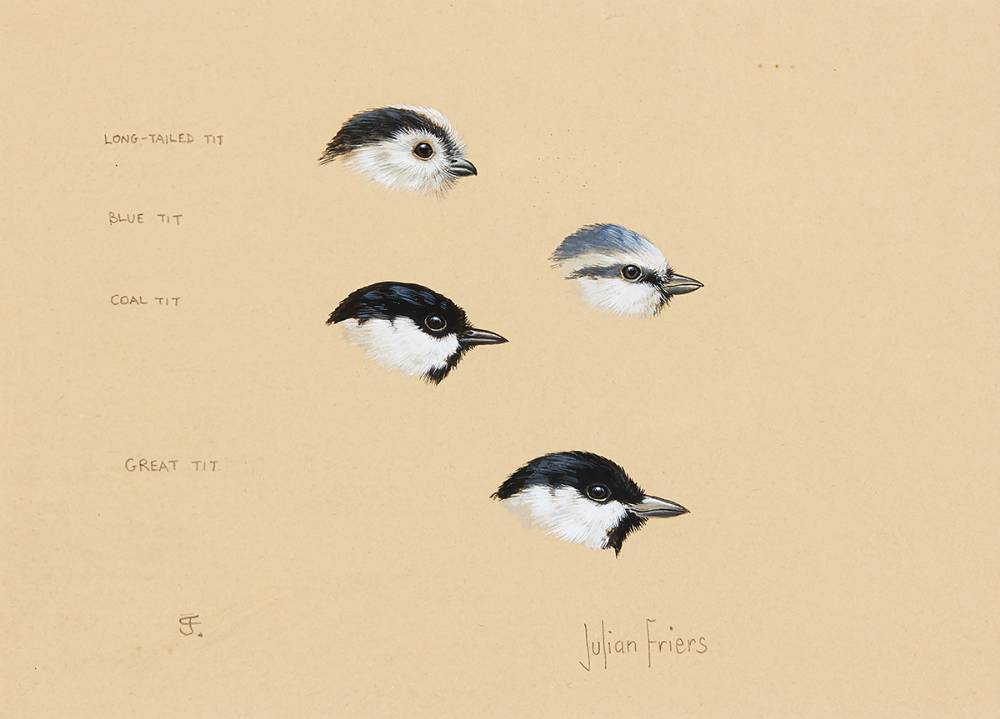 BIRD STUDIES [LONG TAILED-TIT, BLUE TIT, COAL TIT, GREAT TIT] by Julian Friers sold for 330 at Whyte's Auctions