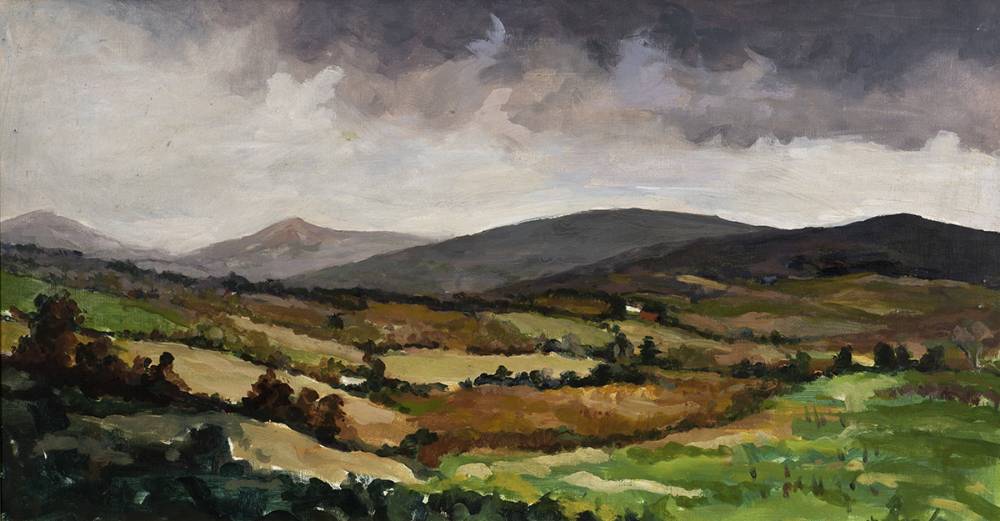 LANDSCAPE WITH MOUNTAINS IN THE DISTANCE by Nuala Stephenson sold for 230 at Whyte's Auctions