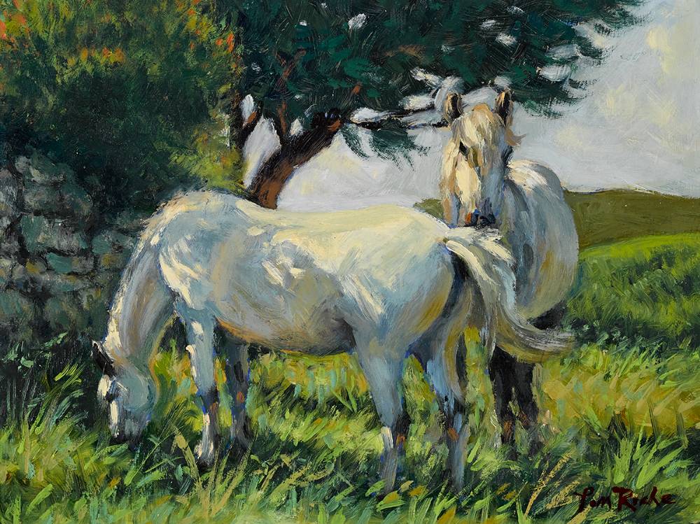 CONNEMARA PONIES by Tom Roche sold for 420 at Whyte's Auctions
